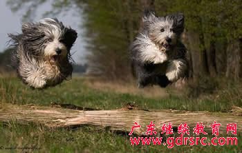 2014�� �z Ӱ �� �I �� �I ǰ �� �c �� �I �� ��  