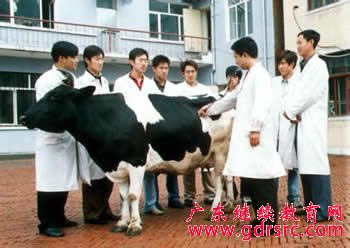 2014�� �� �� �t �W �� �I �� �I ǰ �� �c �� �I �� ��