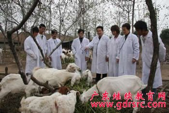 2014�� �� �� �t �W �� �I �� �I ǰ �� �c �� �I �� ��