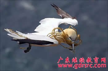 2014�� �z Ӱ �� �I �� �I ǰ �� �c �� �I �� ��  