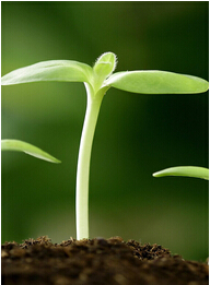 ���I(y��)���g(sh��)�ˆT��(chu��ng)�I(y��)�������O(sh��)