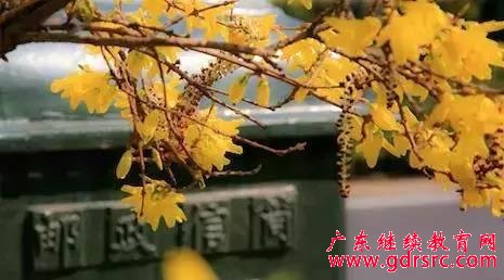 �P�c�Ї���ţ��ʮ����211��У