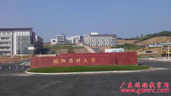 ���(y��ng)ˎ�ƴ�W(xu��)