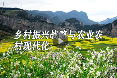 2019���^�m(x��)���������n���ĸ��_���c��(chu��ng)�°l(f��)չ��