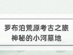 ���ﲩ���^�m(x��)������(zhu��n)�I(y��)�n���_������ԭ����֮��һ���ص�С��Ĺ�ء�