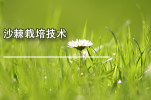 V|ʡho^mInɳ༼g